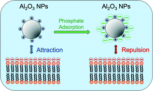 C5EN00176E Loon Chen et al.