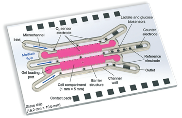chip with multiple sensors