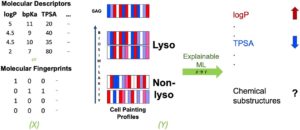 Graphical abstract for article: d4md00107a.